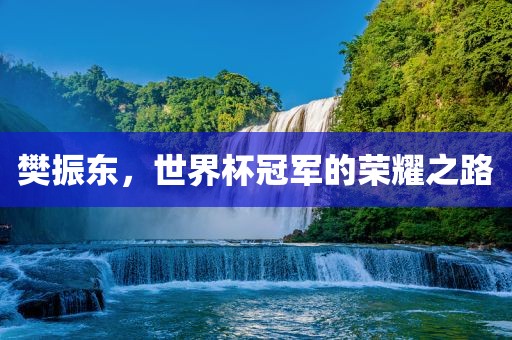 樊振东，世界杯冠军的荣耀之路