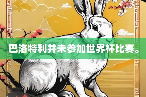 巴洛特利并未参加世界杯比赛。洪湖市顺升工程机械租赁有限公司