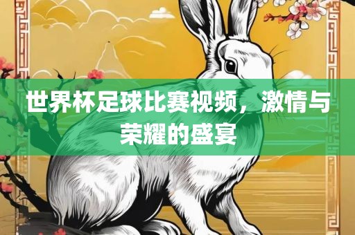 世界杯足球比赛视频，激情与荣耀的盛宴