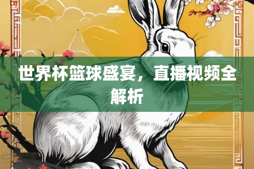 世界杯篮球盛宴