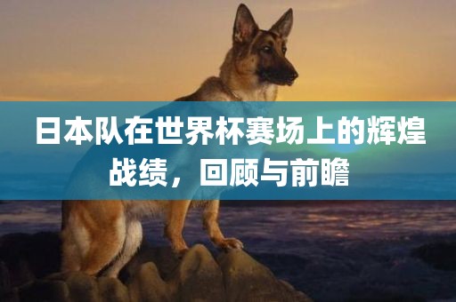日本队在世界杯赛场上的辉煌战绩，回顾与前瞻