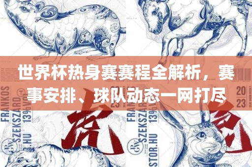 世界杯热身赛赛程全解析，赛事安排、球队动态一网打尽