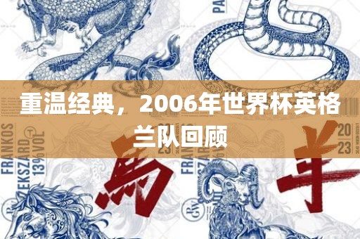 重温经典，2006年世界杯英格兰队回洪湖市顺升工程机械租赁有限公司顾