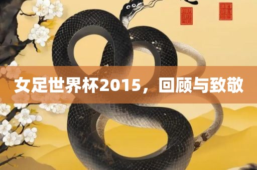 女足世界杯2015，回顾与致敬洪湖市顺升工程机械租赁有限公司
