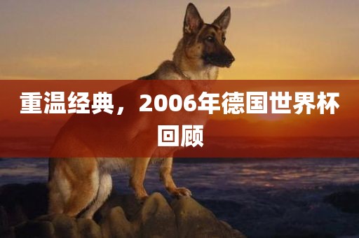 重温经典，2006年德国世界杯回顾