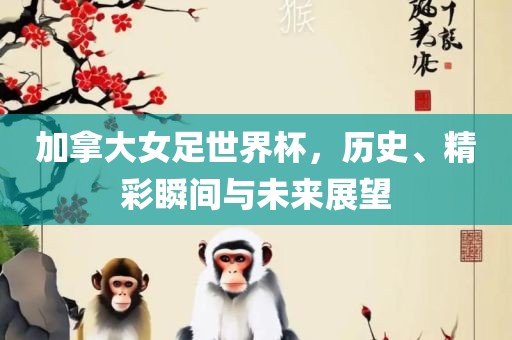 加拿大女足世界杯，历史、精彩瞬间与未来展望洪湖市顺升工程机械租赁有限公司