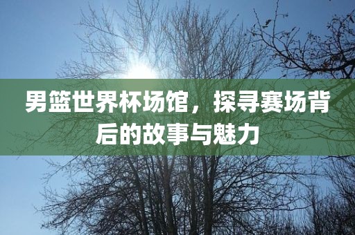 男篮世界杯场馆，探寻赛场背后的故事与魅力