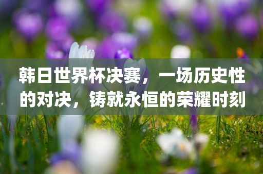 韩日世界杯决赛，一场历史性的对决，铸就永恒的荣耀时刻