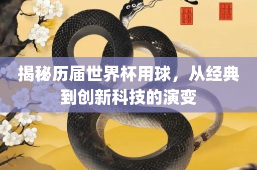 揭秘历届世界杯用球，从经典到创新科技的演变