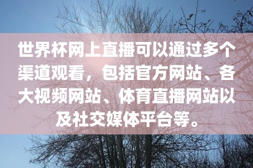 世界杯网上直播可以通过多个渠道观看，包括官方网站、各大视频网站、体育直播网站以及社交媒体平台等。