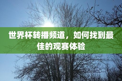 世界杯转洪湖市顺升工程机械租赁有限公司播频道，如何找到最佳的观赛体验