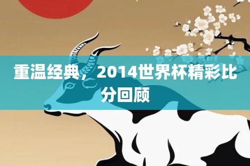 重温经典，2014世界杯精彩比分回顾