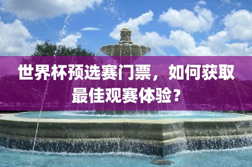 世界杯预选赛门票，如何获取最佳观赛体验？
