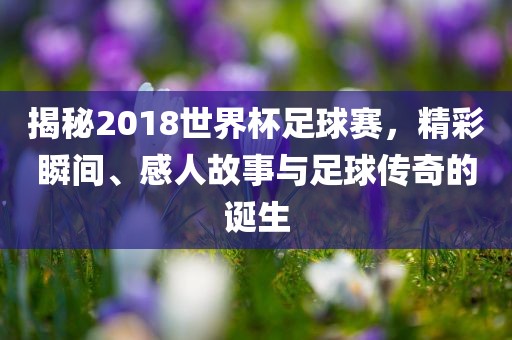 揭秘2018世界杯足球赛，精彩瞬间、感人故事与足球传奇的诞生洪湖市顺升工程机械租赁有限公司