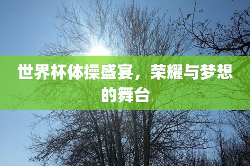 世界杯体操盛宴，荣耀与梦想的舞台