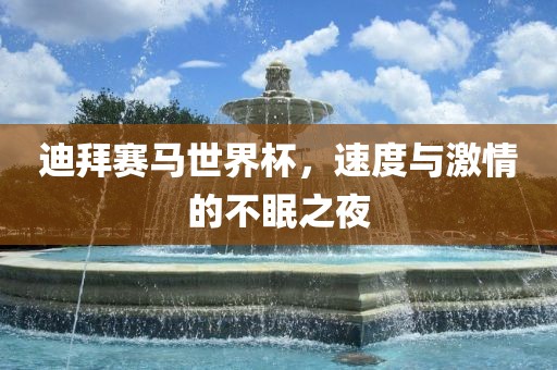 迪拜赛马世界杯，速度与激洪湖市顺升工程机械租赁有限公司情的不眠之夜