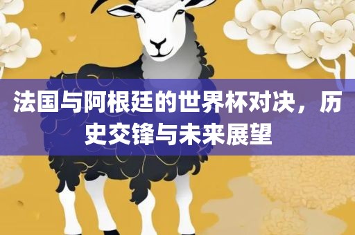 法国与阿根廷的世界杯对决，历史交锋与未来展望洪湖市顺升工程机械租赁有限公司
