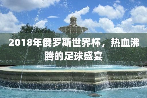 足球盛宴 第26页