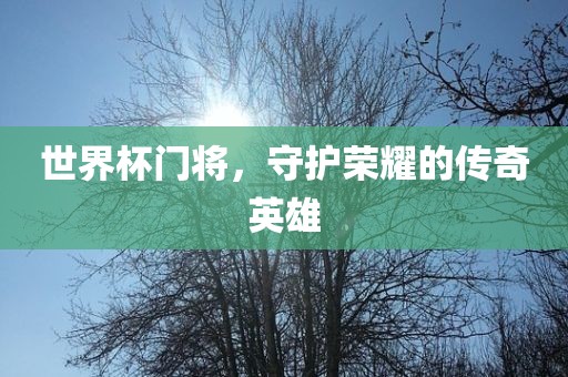 世界杯门将，守护荣耀的传奇英雄