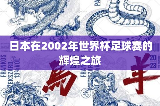 日本在2002年世界杯足球赛的辉煌之旅