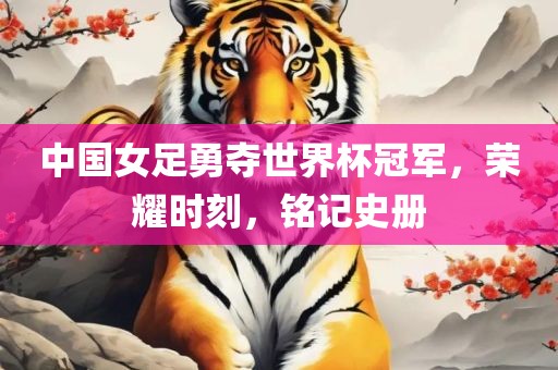 中国女足勇夺世界杯冠军，荣耀时刻，铭记史册洪湖市顺升工程机械租赁有限公司