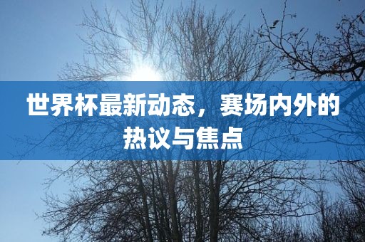 世界杯最新动态，赛场内外的热议与焦点洪湖市顺升工程机械租赁有限公司