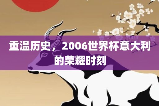 重温历史，2006世界杯意大利的荣耀时刻洪湖市顺升工程机械租赁有限公司