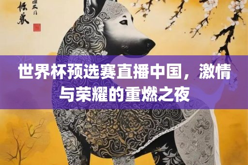 世界杯预选赛直播中国，激情与荣耀的重燃之夜