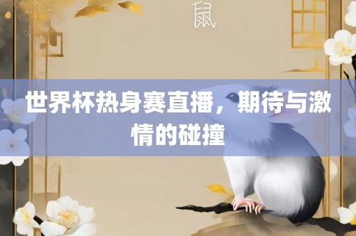 世界杯热身赛直播，期待与激情的碰撞