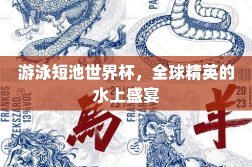 游泳短池世界杯，全球精英的水上盛宴