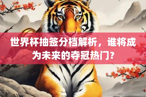 世界杯抽签分档解析，谁将成为未来的夺冠热门？