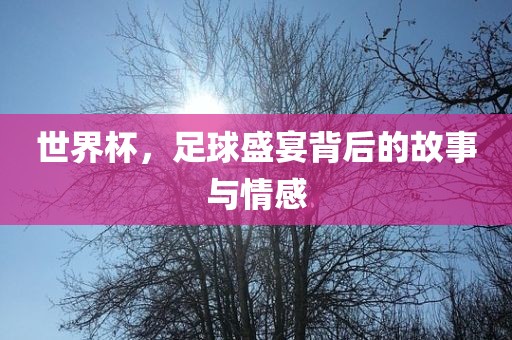 世界杯，足球盛宴背后的故事与情感