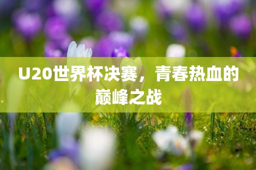 U20世界杯决赛，青春热血的巅峰之战