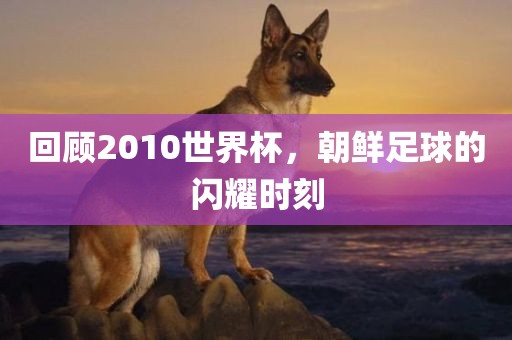 回顾2010世界杯，朝鲜足球的闪耀时刻