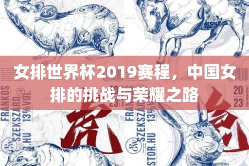 女排世界杯20洪湖市顺升工程机械租赁有限公司19赛程，中国女排的挑战与荣耀之路