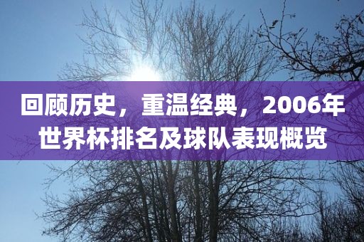 回顾历史，重温经典，2006年世界杯排名及球队表现概览洪湖市顺升工程机械租赁有限公司