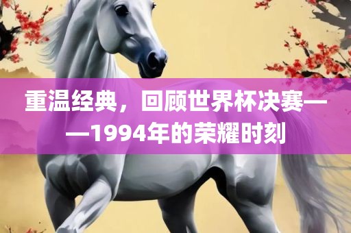 重温经典，回顾世界杯决赛——1994年的荣耀时刻洪湖市顺升工程机械租赁有限公司
