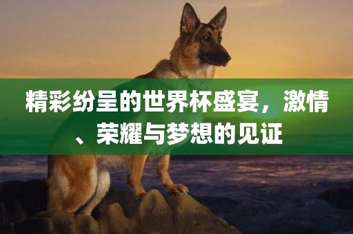 精彩纷呈的世界杯盛宴，激情、荣耀与梦想的见证