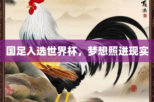 国足入选世界杯，梦想照进现实