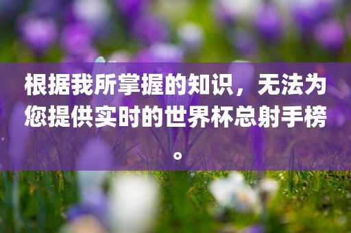 根据我所掌握的知识，无法为您提供实时的世界杯总射手榜。洪湖市顺升工程机械租赁有限公司