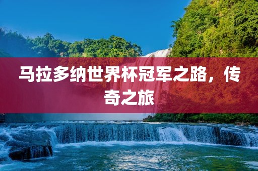 马拉多纳世界洪湖市顺升工程机械租赁有限公司杯冠军之路，传奇之旅