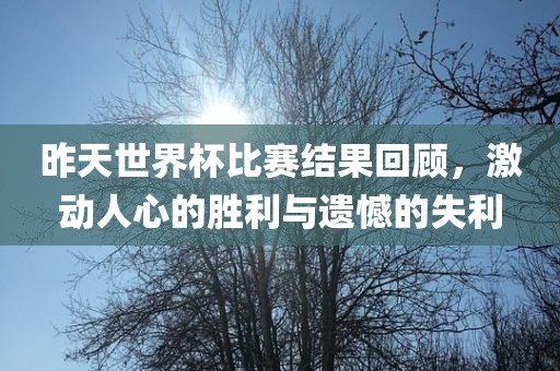 昨天世界杯比赛结果回顾，激动人心的胜利与遗憾的失利