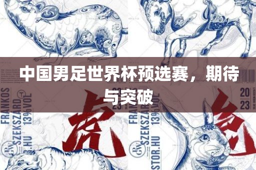 中国男足世界杯预选赛，期待与突破