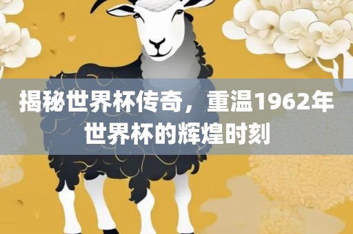 揭秘世界杯传奇，重温1962年世界杯的辉煌时刻洪湖市顺升工程机械租赁有限公司