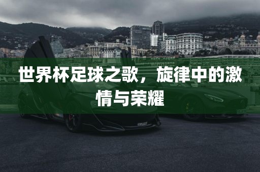 激情与荣耀 第10页