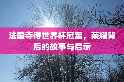 法国夺得世界杯冠军，荣耀背后的故事与启示