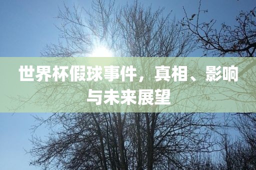 世界杯假球事件，真相、影响与未来展望