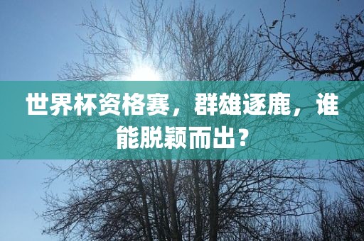 世界杯资格赛，群雄逐鹿，谁洪湖市顺升工程机械租赁有限公司能脱颖而出？