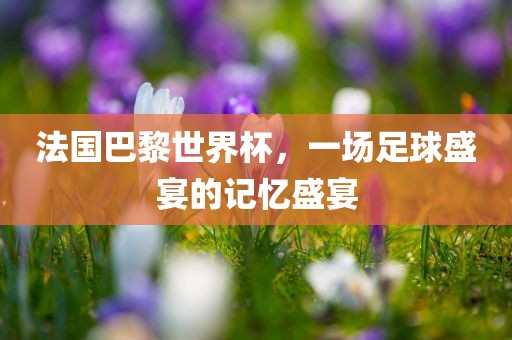法国巴黎世界洪湖市顺升工程机械租赁有限公司杯，一场足球盛宴的记忆盛宴