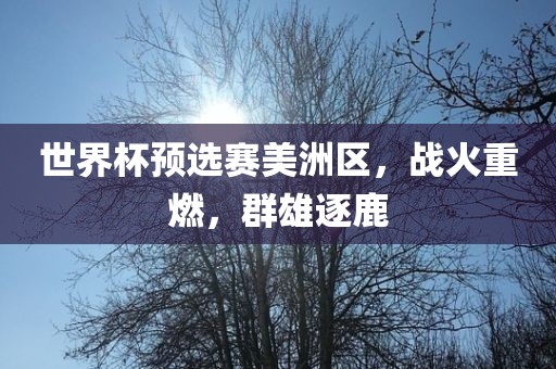 世界杯预选赛美洲区，战火重燃，群雄逐鹿